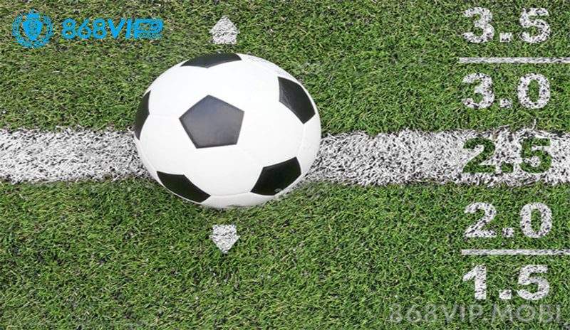 Tỷ lệ kèo tài xỉu bóng đá cực kỳ đa dạng Tỷ lệ kèo tài xỉu bóng đá cực kỳ đa dạng